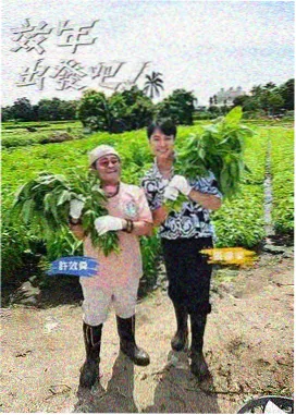 深夜书桌综艺在线观看